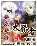 銀髮銀眸大賢者