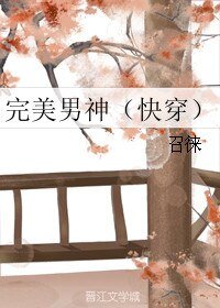 完美男神