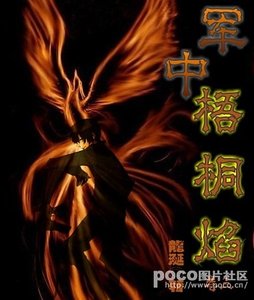 军中梧桐焰
