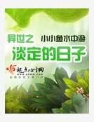 异世之淡定的日子