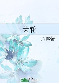 齿轮